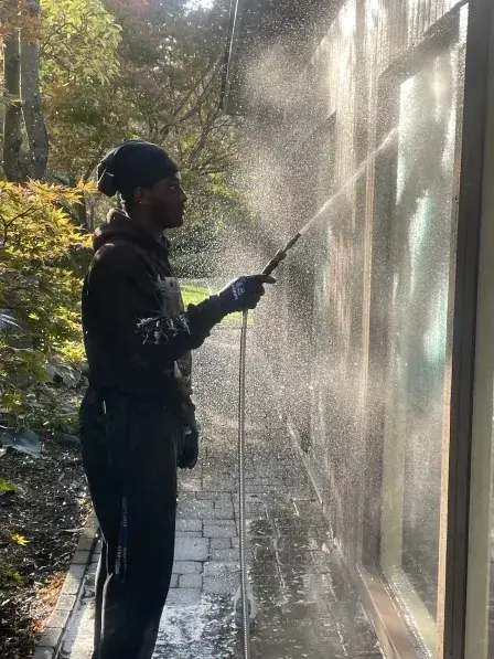 windows cleaning service